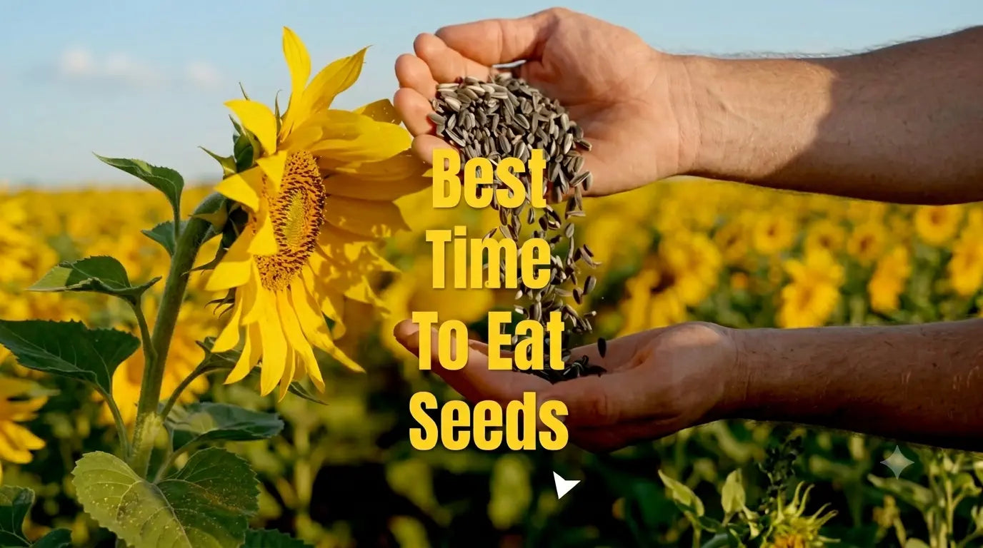 Best Time to Eat Seeds: Morning, Evening, or With Meals?