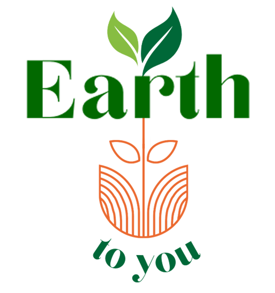 Earth To You