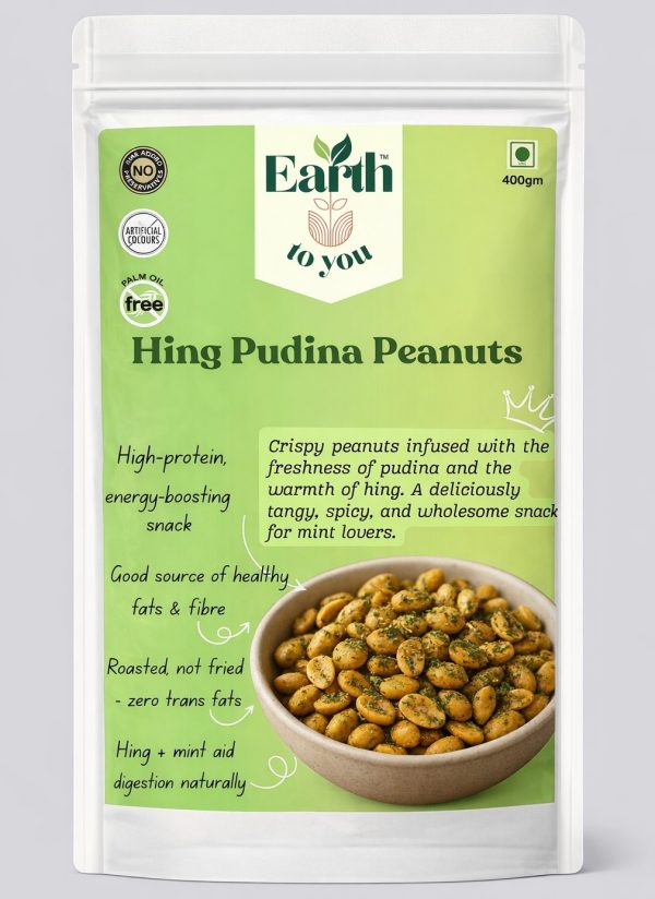 Hing Pudina Peanuts (400gm)