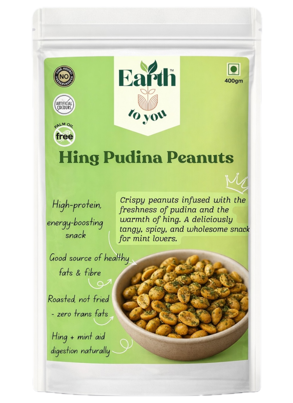 Hing Pudina Peanuts (400gm)